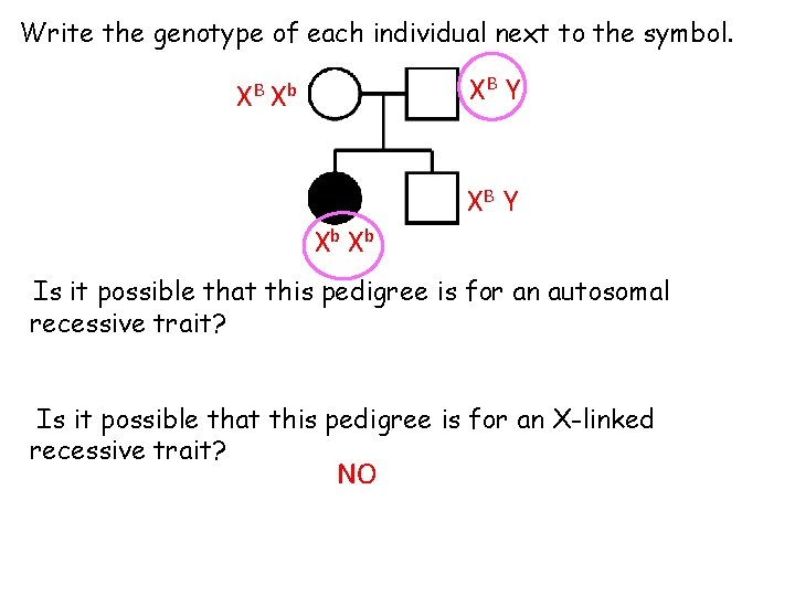 Write the genotype of each individual next to the symbol. XB Y XB X