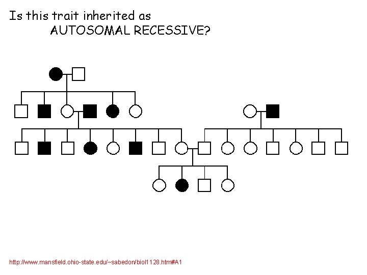 Is this trait inherited as AUTOSOMAL RECESSIVE? http: //www. mansfield. ohio-state. edu/~sabedon/biol 1128. htm#A