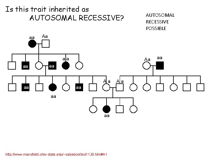 Is this trait inherited as AUTOSOMAL RECESSIVE? aa Aa aa aa AUTOSOMAL RECESSIVE POSSIBLE