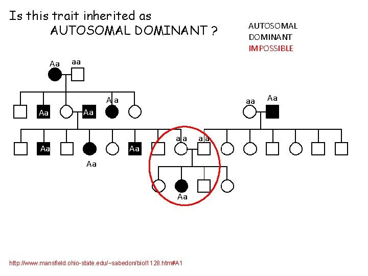 Is this trait inherited as AUTOSOMAL DOMINANT ? Aa aa Aa Aa AUTOSOMAL DOMINANT