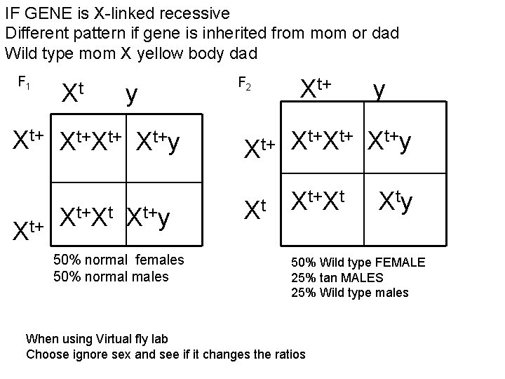 IF GENE is X-linked recessive Different pattern if gene is inherited from mom or