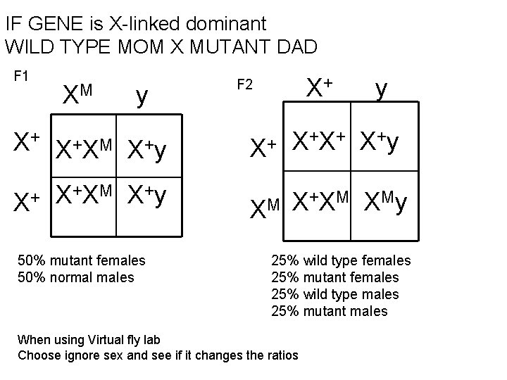 IF GENE is X-linked dominant WILD TYPE MOM X MUTANT DAD F 1 XM