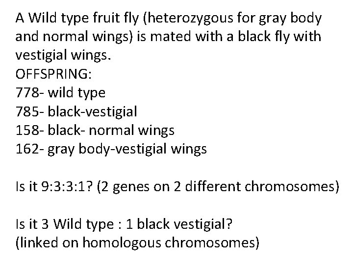 A Wild type fruit fly (heterozygous for gray body and normal wings) is mated