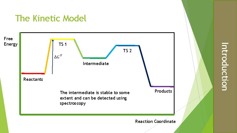 The Kinetic Model TS 1 TS 2 Intermediate Reactants The intermediate is stable to