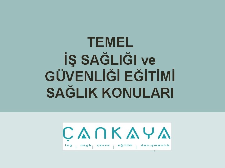 TEMEL İŞ SAĞLIĞI ve GÜVENLİĞİ EĞİTİMİ SAĞLIK KONULARI 