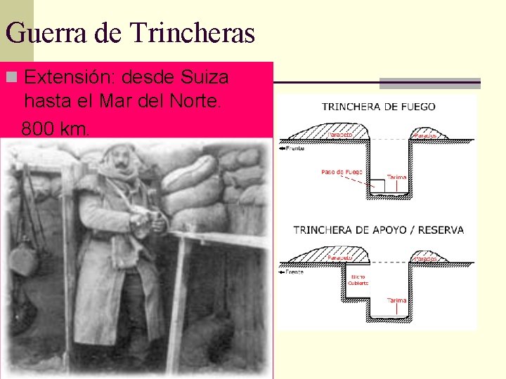 Guerra de Trincheras n Extensión: desde Suiza hasta el Mar del Norte. 800 km.