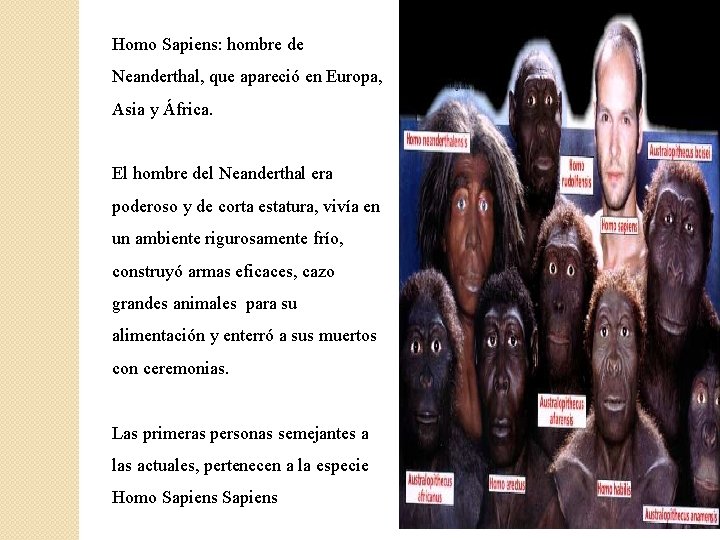 Homo Sapiens: hombre de Neanderthal, que apareció en Europa, Asia y África. El hombre