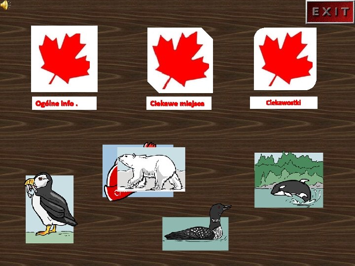 Ogólne info. Ciekawe miejsca Ciekawostki 