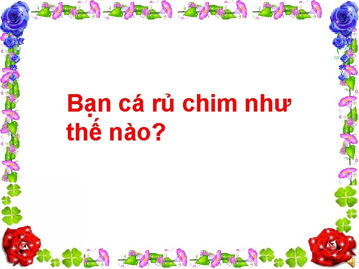 Bạn cá rủ chim như thế nào? 