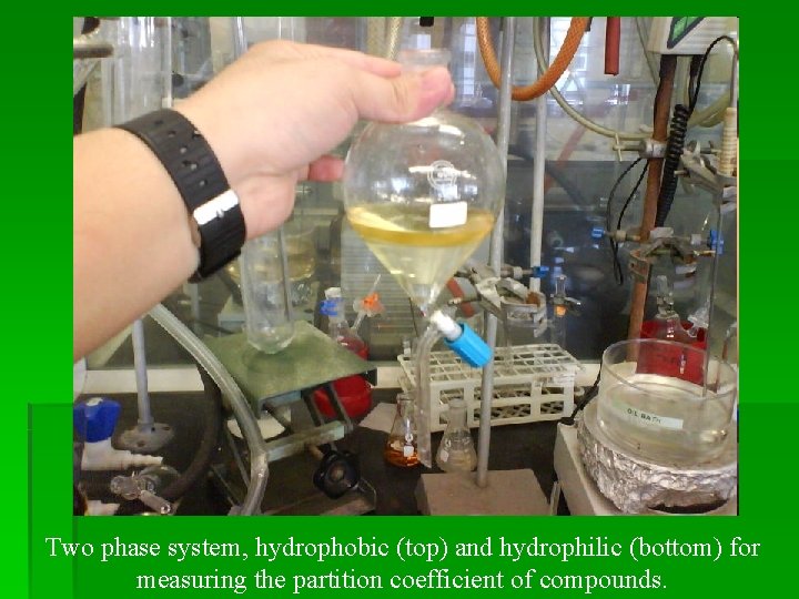 Two phase system, hydrophobic (top) and hydrophilic (bottom) for measuring the partition coefficient of