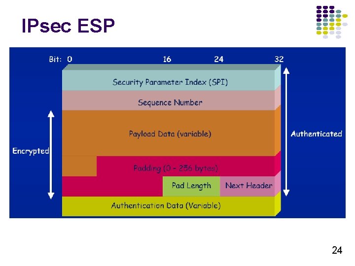 IPsec ESP 24 