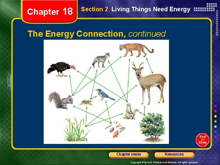 Chapter 18 Section 2 Living Things Need Energy The Energy Connection, continued Chapter menu