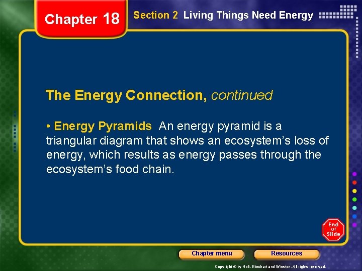 Chapter 18 Section 2 Living Things Need Energy The Energy Connection, continued • Energy