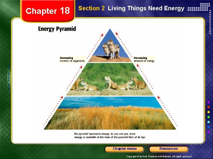 Chapter 18 Section 2 Living Things Need Energy Chapter menu Resources Copyright © by