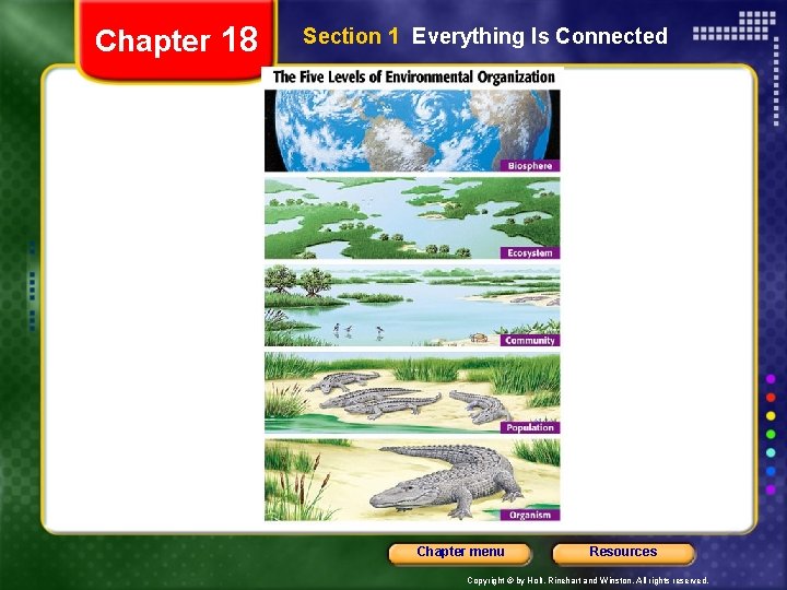 Chapter 18 Section 1 Everything Is Connected Chapter menu Resources Copyright © by Holt,