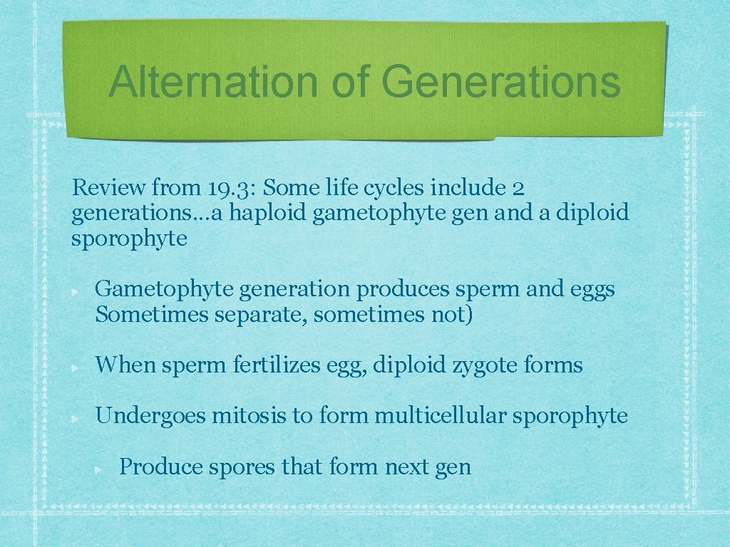 Alternation of Generations Review from 19. 3: Some life cycles include 2 generations. . Alternation of Generations Review from 19. 3: Some life cycles include 2 generations. .