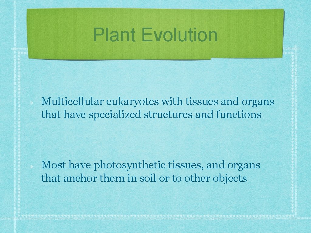 Plant Evolution Multicellular eukaryotes with tissues and organs that have specialized structures and functions Plant Evolution Multicellular eukaryotes with tissues and organs that have specialized structures and functions