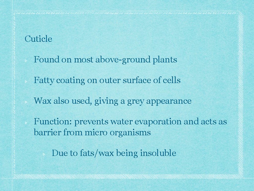 Cuticle Found on most above-ground plants Fatty coating on outer surface of cells Wax Cuticle Found on most above-ground plants Fatty coating on outer surface of cells Wax
