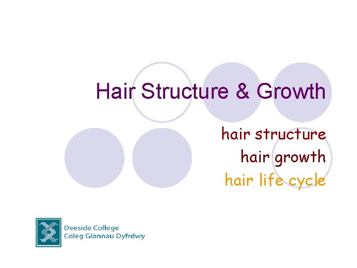 Hair Structure & Growth hair structure hair growth hair life cycle 