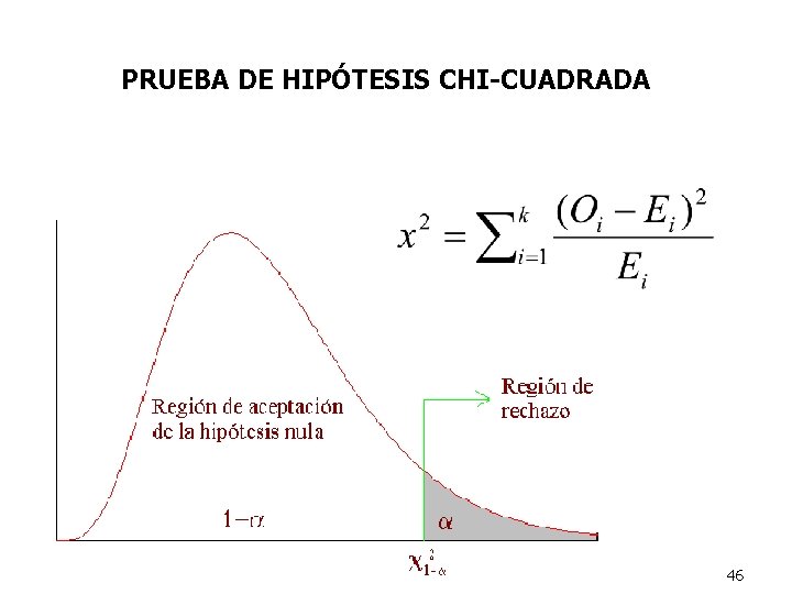 PRUEBA DE HIPÓTESIS CHI-CUADRADA 46 