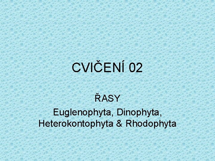 CVIČENÍ 02 ŘASY Euglenophyta, Dinophyta, Heterokontophyta & Rhodophyta 
