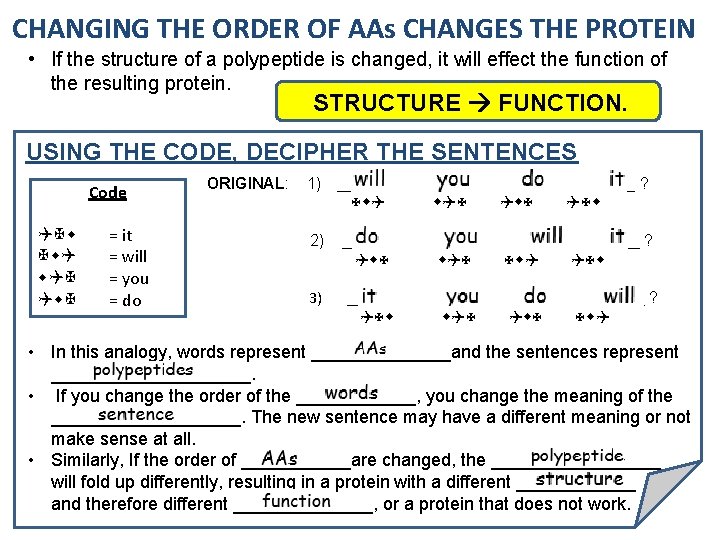 CHANGING THE ORDER OF AAs CHANGES THE PROTEIN • If the structure of a
