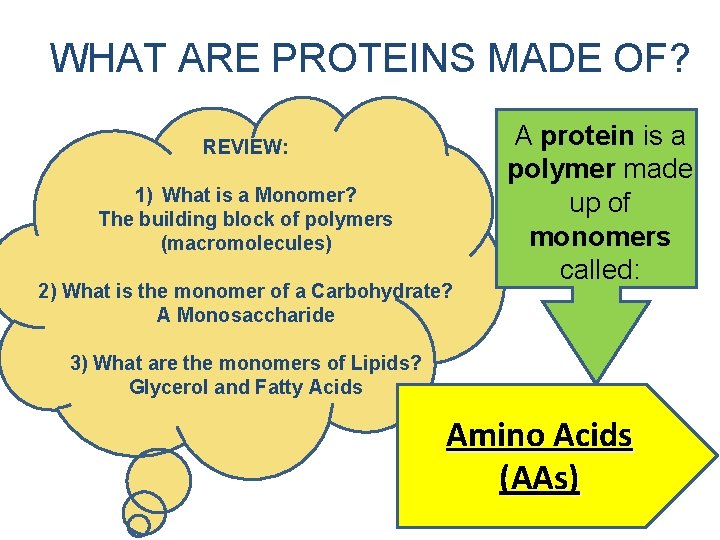 . WHAT ARE PROTEINS MADE OF? REVIEW: 1) What is a Monomer? The building