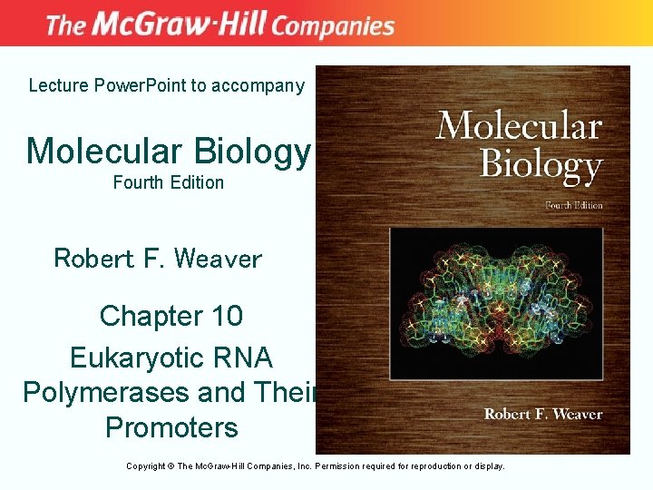 Lecture Power. Point to accompany Molecular Biology Fourth Edition Robert F. Weaver Chapter 10