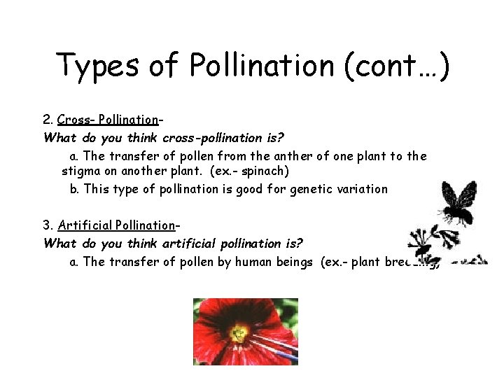 Types of Pollination (cont…) 2. Cross- Pollination. What do you think cross-pollination is? a.