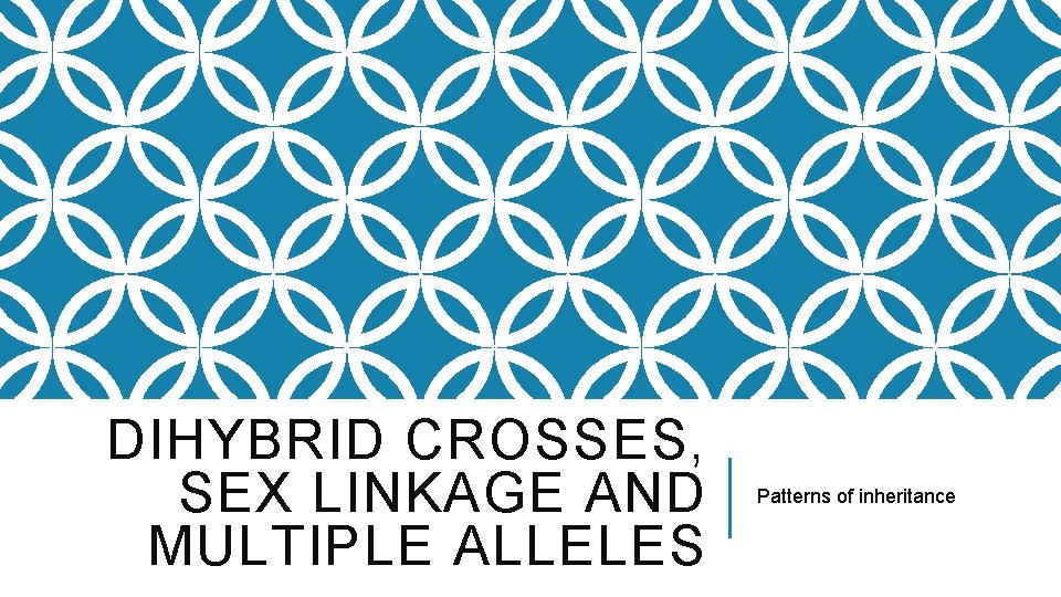 DIHYBRID CROSSES, SEX LINKAGE AND MULTIPLE ALLELES Patterns of inheritance 