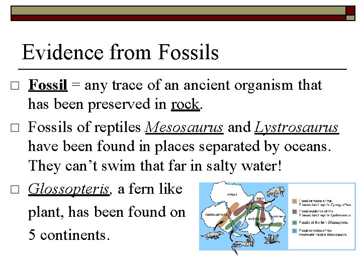 Evidence from Fossils o o o Fossil = any trace of an ancient organism