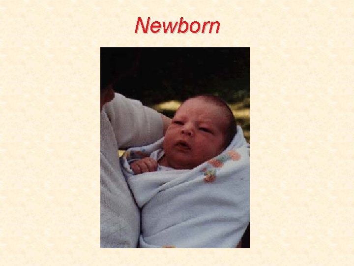 Newborn 