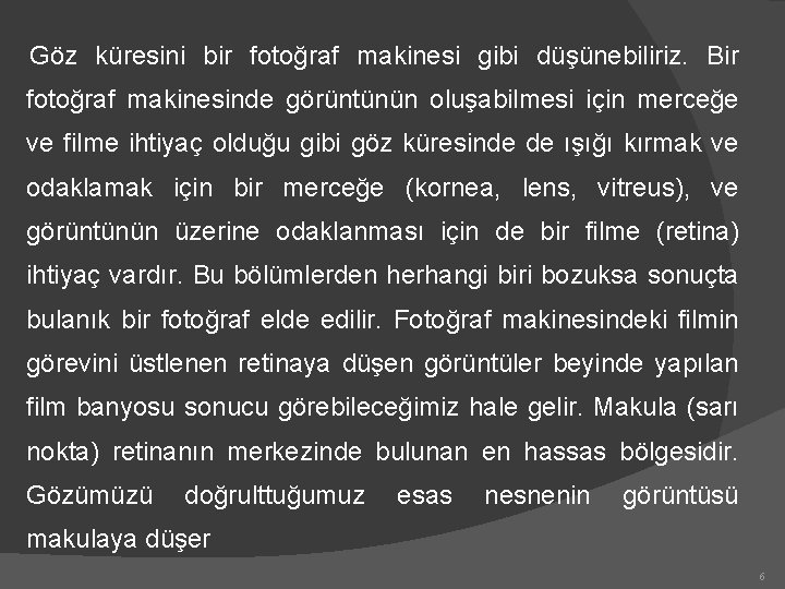 Göz küresini bir fotoğraf makinesi gibi düşünebiliriz. Bir fotoğraf makinesinde görüntünün oluşabilmesi için merceğe