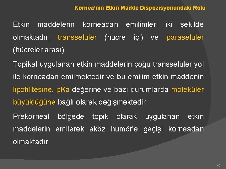 Kornea’nın Etkin Madde Dispozisyonundaki Rolü Etkin maddelerin olmaktadır, korneadan transselüler (hücre emilimleri içi) ve