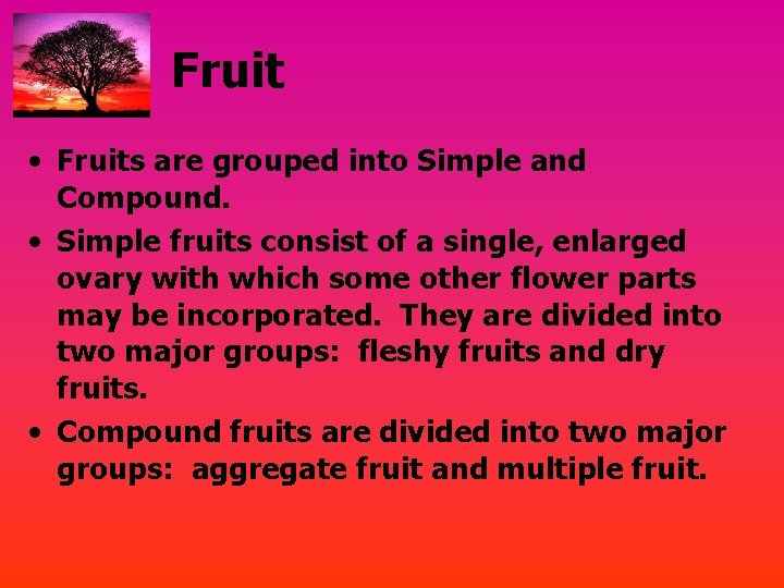 Fruit • Fruits are grouped into Simple and Compound. • Simple fruits consist of