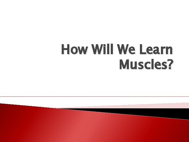 How Will We Learn Muscles? 
