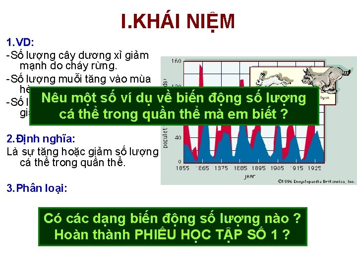 I. KHÁI NIỆM 1. VD: -Số lượng cây dương xỉ giảm mạnh do cháy