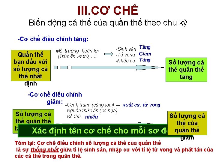 III. CƠ CHẾ Biến động cá thể của quần thể theo chu kỳ -Cơ