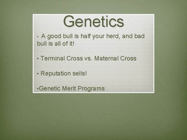 Genetics A good bull is half your herd, and bad bull is all of