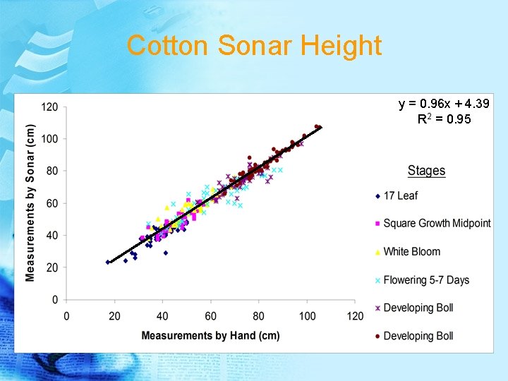 Cotton Sonar Height y = 0. 96 x + 4. 39 R 2 =