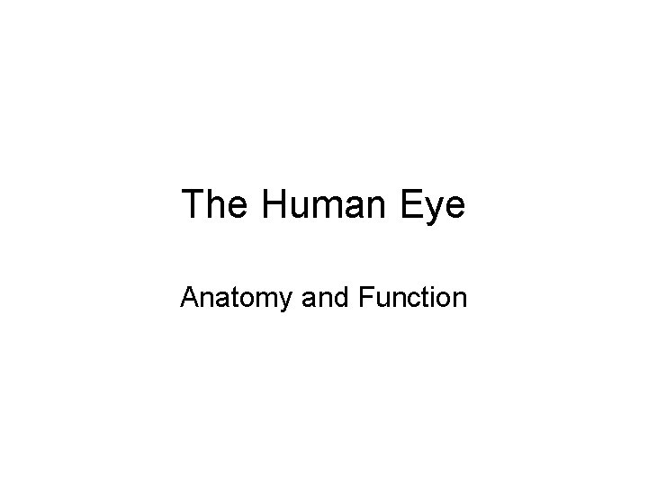The Human Eye Anatomy and Function 