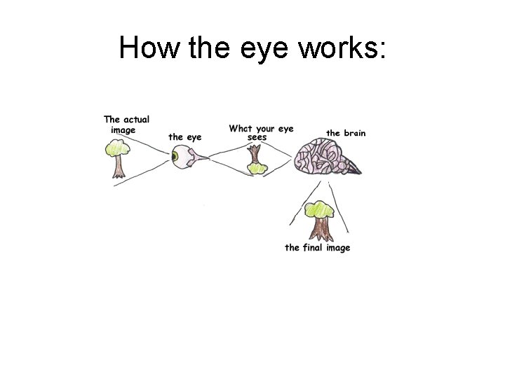 How the eye works: 