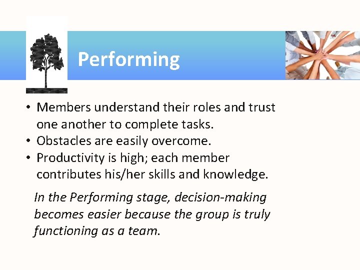 Performing • Members understand their roles and trust one another to complete tasks. •