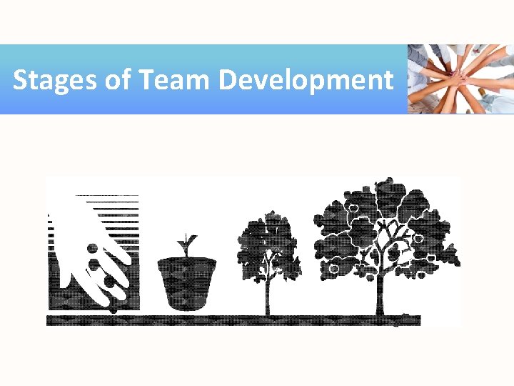 Stages of Team Development 