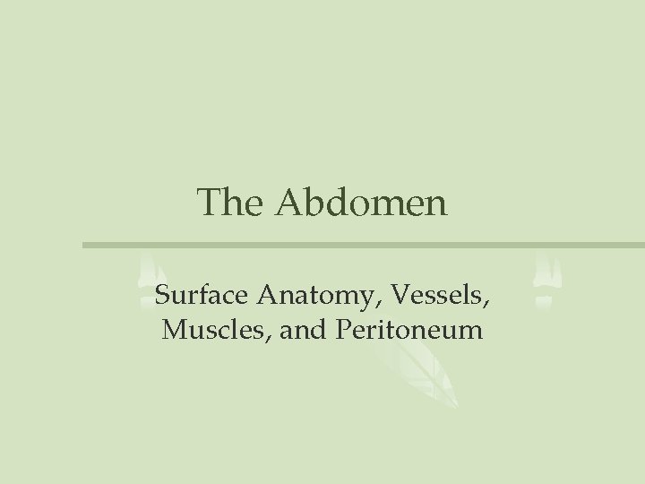 The Abdomen Surface Anatomy, Vessels, Muscles, and Peritoneum 