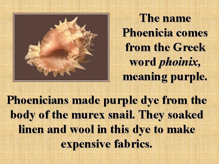 The name Phoenicia comes from the Greek word phoinix, meaning purple. Phoenicians made purple