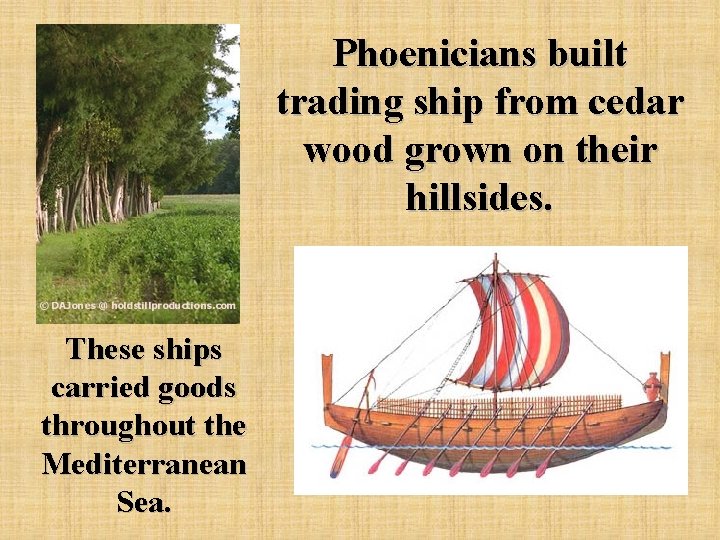 Phoenicians built trading ship from cedar wood grown on their hillsides. These ships carried