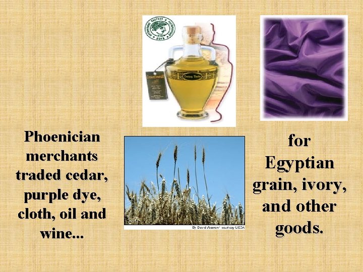 Phoenician merchants traded cedar, purple dye, cloth, oil and wine. . . for Egyptian