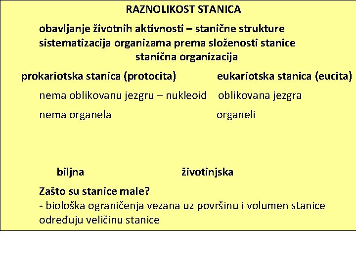 RAZNOLIKOST STANICA obavljanje životnih aktivnosti – stanične strukture sistematizacija organizama prema složenosti stanice stanična