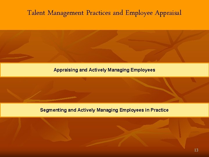 Talent Management Practices and Employee Appraisal Appraising and Actively Managing Employees Segmenting and Actively